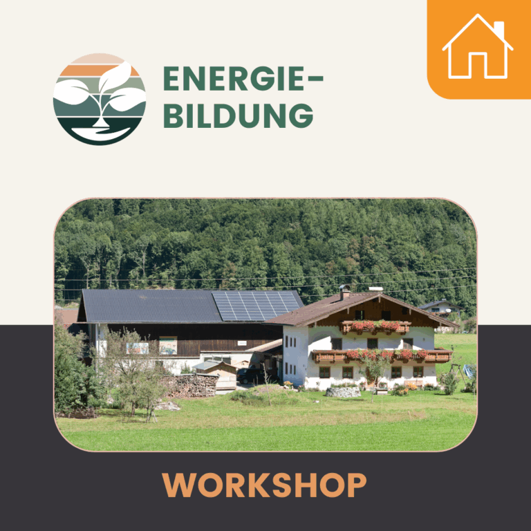 Energie_Workshop_Icon_neu