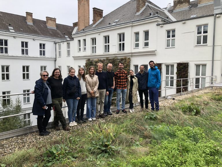 Gruppenfoto vom Projektteam auf einem begrünten Hausdach.
